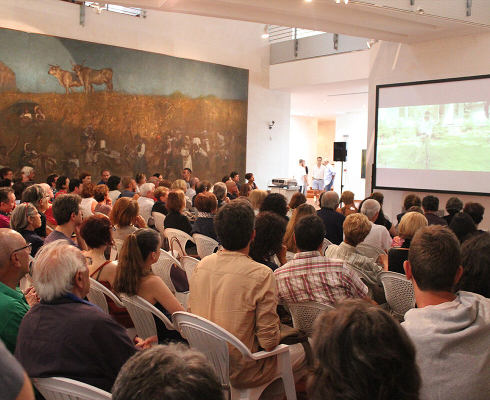 lampi d'agosto 2014 10